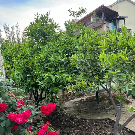 2bedroom Apartment,free Parking 06 Apartament