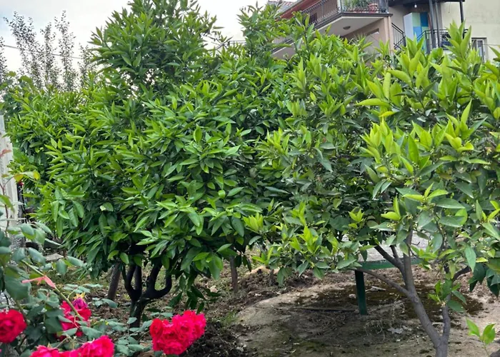 2bedroom Apartment,free Parking 06 Apartman